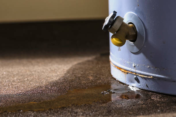 Best Water damage contractors near me  in Young Harris, GA