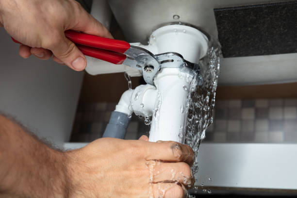 Best Flooded house restoration  in Young Harris, GA