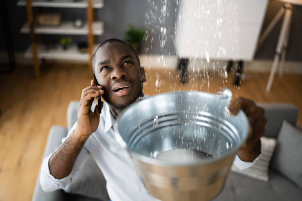 Best Commercial water damage restoration  in Young Harris, GA