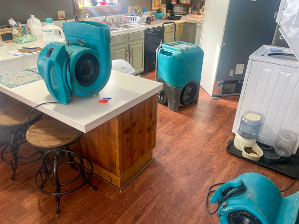 Best Carpet water damage restoration  in Young Harris, GA