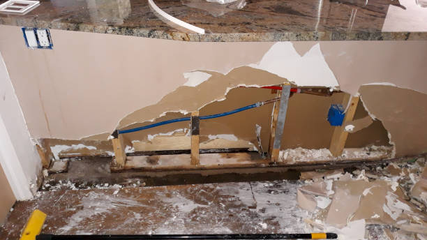Best Water damage cleanup near me  in Young Harris, GA