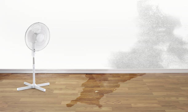 Best Fire Damage Restoration  in Young Harris, GA