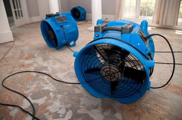  Young Harris, GA Water damage restoration Pros