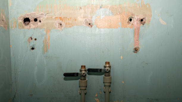 Best Emergency water damage restoration  in Young Harris, GA