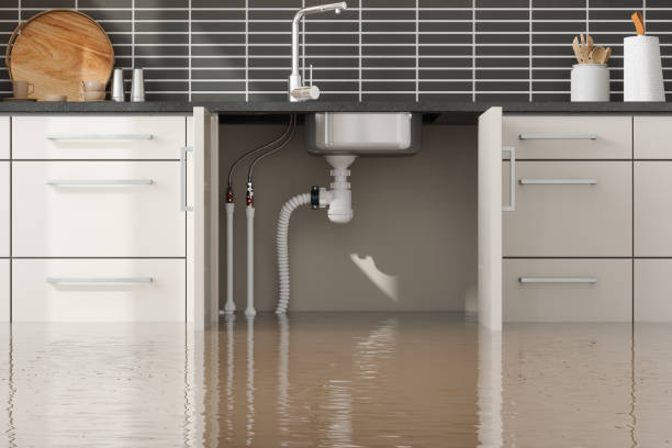 Best Ceiling water damage repair  in Young Harris, GA